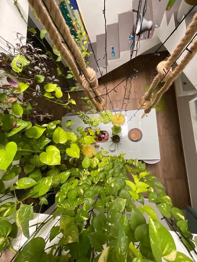 Bodhi Garden Villa In Varkala India
